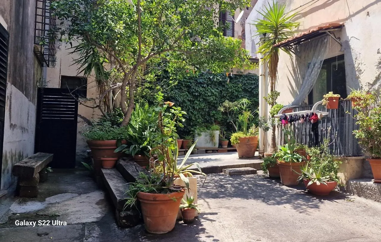 Apartment Myourhome Катания